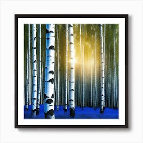 Birch Trees 64 Art Print