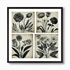 Black And White Flowers 1 Art Print