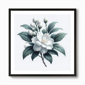 White Camellia Art Print