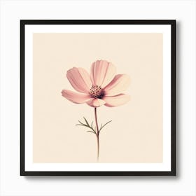 Cosmos Flower Art Print