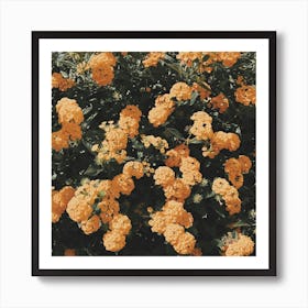 Autumn Mum Flowers Square Art Print