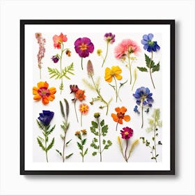 Dried Wild Flowers 23 Art Print