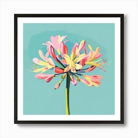 Agapanthus 3 Square Flower Illustration Art Print