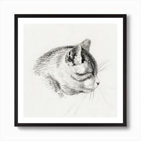 Sketch Of A Cat, Jean Bernard Art Print