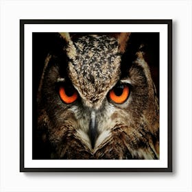 Owl With Orange Eyes Art Print