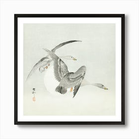 Two Colt Geese In Flight (1900 1930), Ohara Koson Art Print