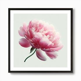 Pink Peony Art Print