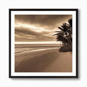 Photograph - Palm Trees On The Beach Art Print