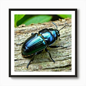 Beetle Insect Bug Coleoptera Exoskeleton Antennae Wings Black Colorful Small Crawling Car (5) Art Print