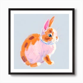 Netherland Dwarf Rabbit 04 Art Print