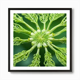 Fern Flower Art Print