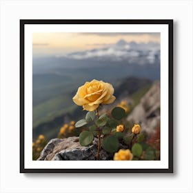 Yellow Rose In The Mountains Art Print