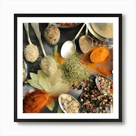 Spices And Herbs Art Print