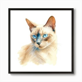 Burmese Platinum Cat Portrait 1 Art Print