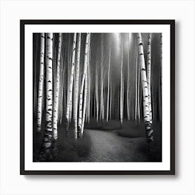 Birch Forest 43 Art Print