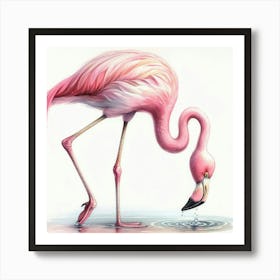 Pink Flamingo 7 Art Print