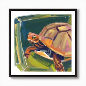 Box Turtle 02 Art Print