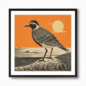 Retro Bird Lithograph Grey Plover 2 Art Print