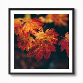 Autumn Leaves Art Print