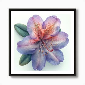 Rhododendron 4 Art Print