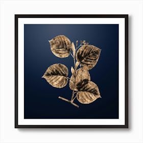 Gold Botanical Linden Tree Branch on Midnight Navy n.4710 Art Print
