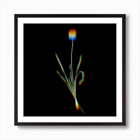 Prism Shift Mouse Garlic Botanical Illustration on Black Art Print