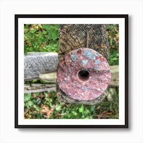 Round Pink Stone Art Print