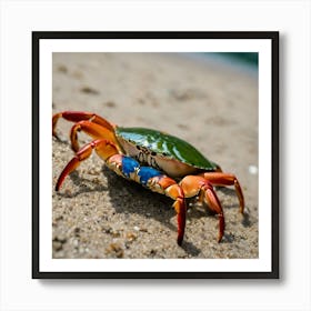 Blue Crab On The Beach Art Print