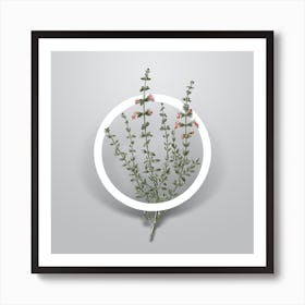 Vintage Cat Thyme Plant Minimalist Floral Geometric Circle on Soft Gray n.0573 Art Print