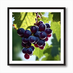 Grapes On The Vine 24 Art Print