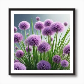 Purple Chrysanthemums Art Print