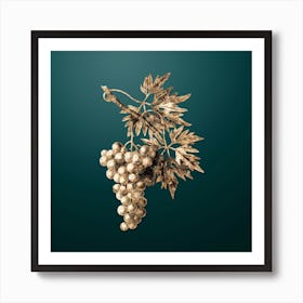 Gold Botanical Grape Vine on Dark Teal n.3786 Art Print