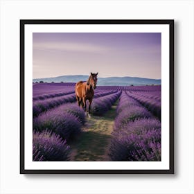 Horse In Lavender Field Art Print