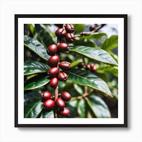 Coffee Beans On A Tree 49 Art Print