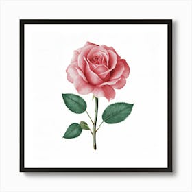 Pink Rose 1 Art Print