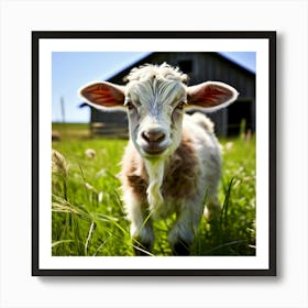 Goat Stock Videos & Royalty-Free Footage 1 Art Print