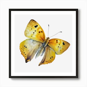 Yellow Butterfly Watercolor Painting Art Print