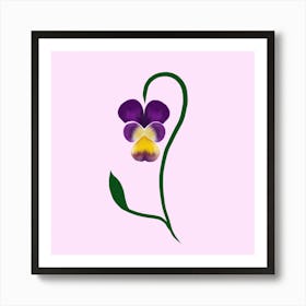 Pansy Flower Art Print