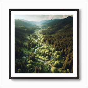 Aerial View Of A Forest Art Print