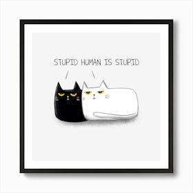 Black and White Cats On A white Background Art Print