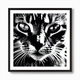 Black And White Cat 7 Art Print