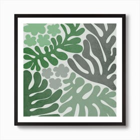 Ferns Art Print