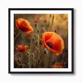 Poppies At Sunset Art Print