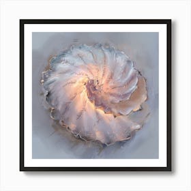 Nautilus Shell Art Print