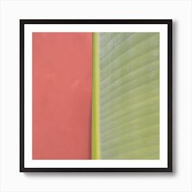 Natural balance banana leaf Art Print