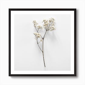 White Blossom Beauty Square Art Print