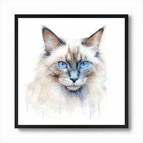 Neva Masquerade Cat Portrait 1 Art Print