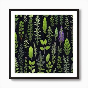 Set Of Herbs On Black Background Art Print