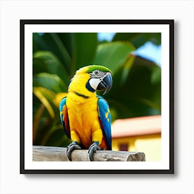 Colorful Parrot 1 Art Print