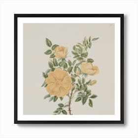 Yellow Roses Art Print